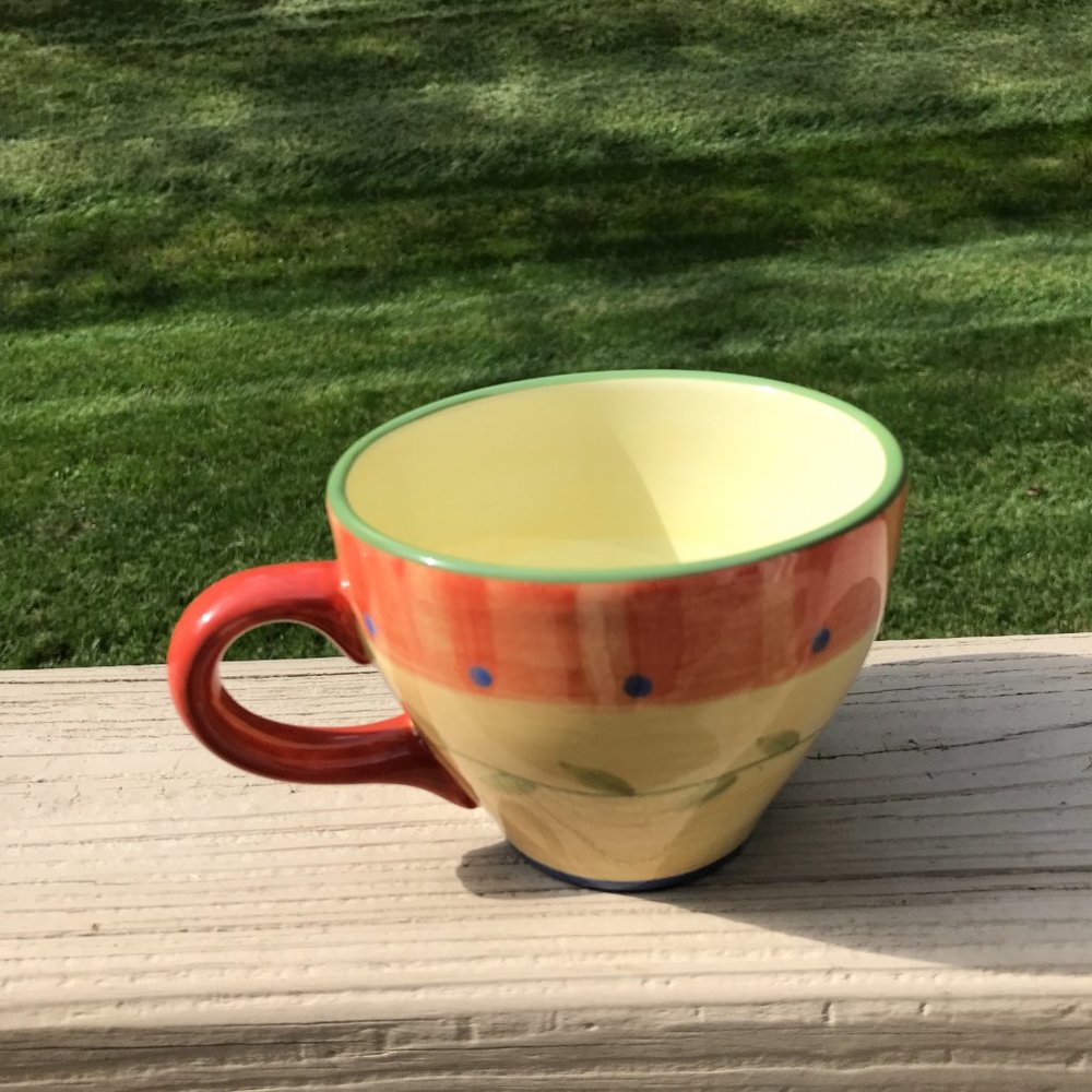 Pfaltzgraff Napoli Hand painted Mug